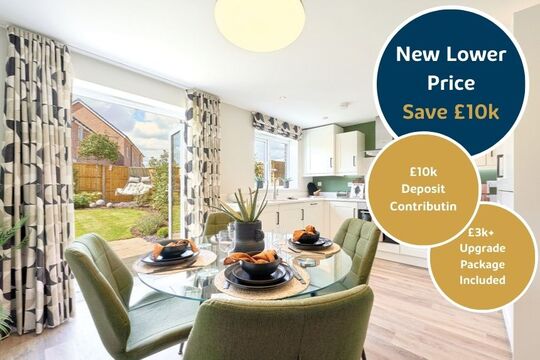 20 Magnolia Longfields (3)