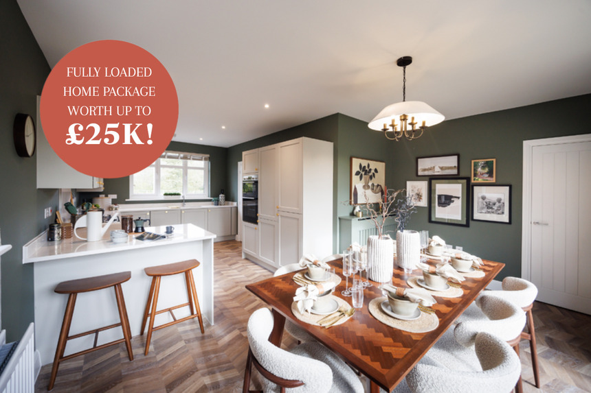 725/730 The Chestnut Mock Up