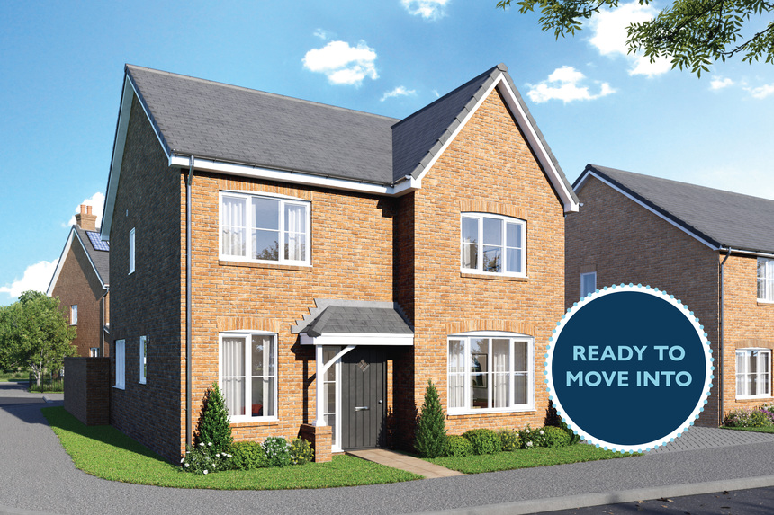 The Aspen_Haddon Peake_Ready To Move Into