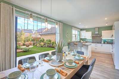Home 50