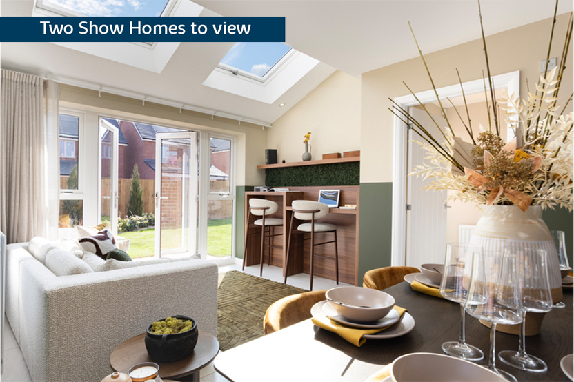 BH-VSWM-CGPG-TWO SHOW HOMES