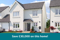 Home 299