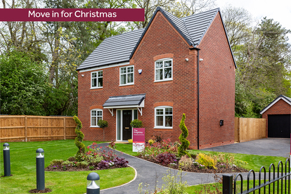 LH-VSWM-SV-MOVE IN FOR CHRISTMAS