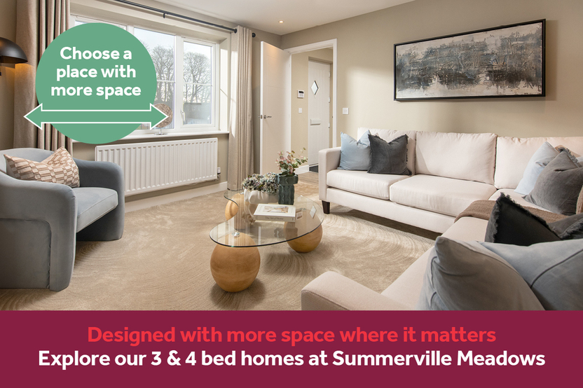 RKH_101966_VGNE_-_Linden_Summerville_Meadows_Banner_1280x853px