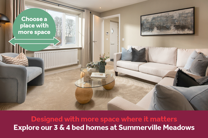 RKH_101966_VGNE_-_Linden_Summerville_Meadows_Banner_1280x853px