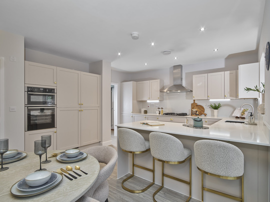 VISE-BROX-25-P40LIME-006