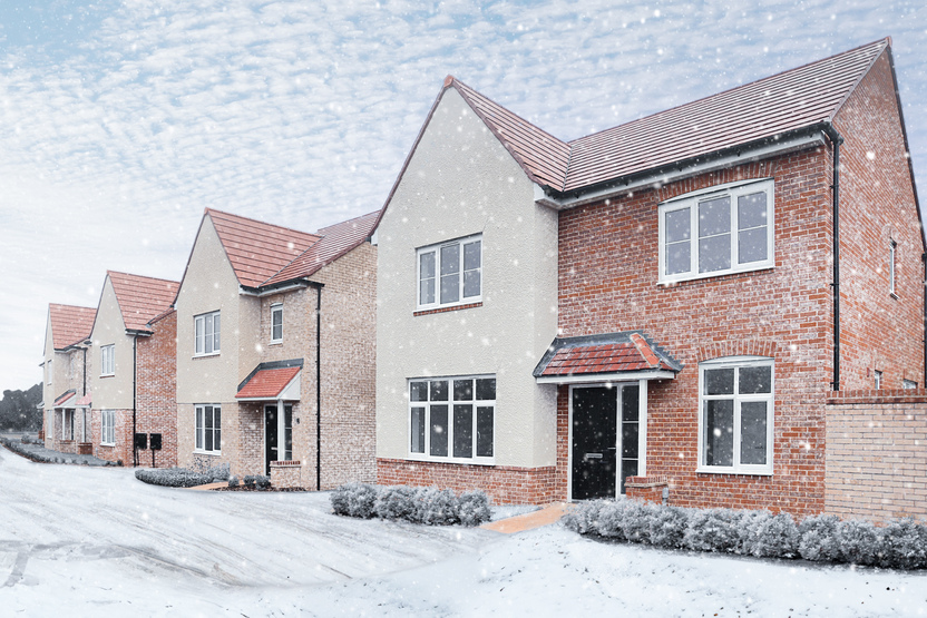 VEM_Bovis_Quantum Fields copy- SNOW