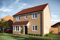 Home 81