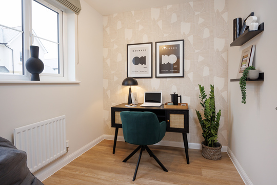 CP_Tors_SH_161223_07