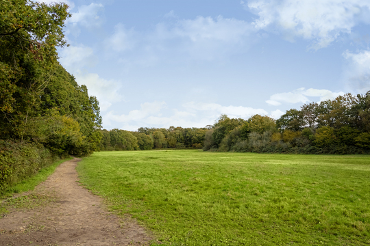 C-VISE-OAKH-LocalArea-2024-017_RET