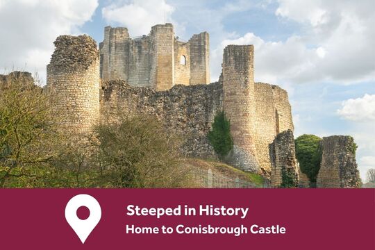 Conisbrough Local area 1