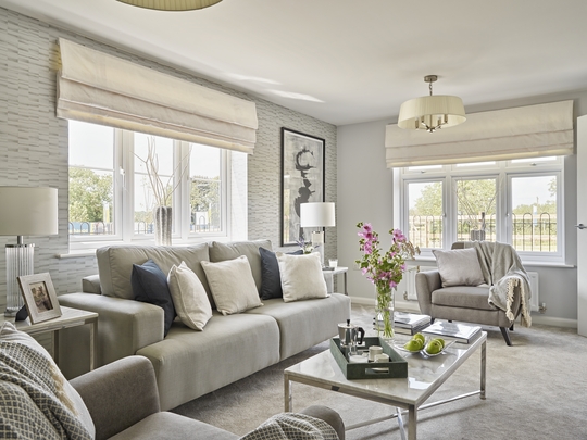 Bovis The Spruce43473