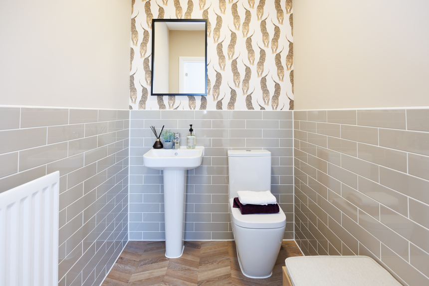 VDSW BH PASTURES CHESTNUT (7)