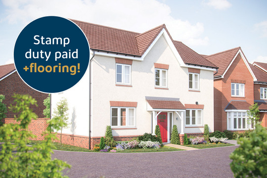 VDSW BH MBROOK CHESTNUT 464