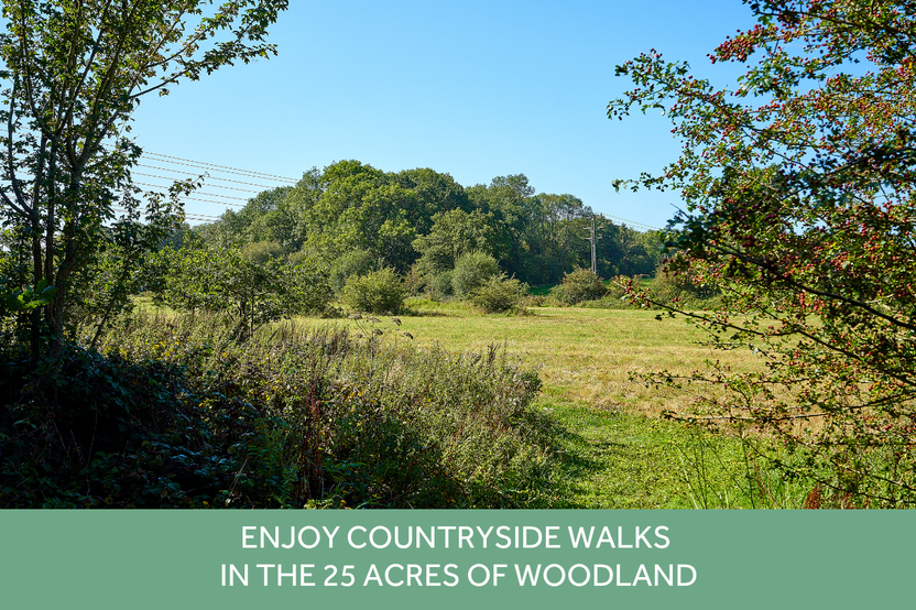 VS - LH - Albany Park - Local Area Images SANG 1280 x 853