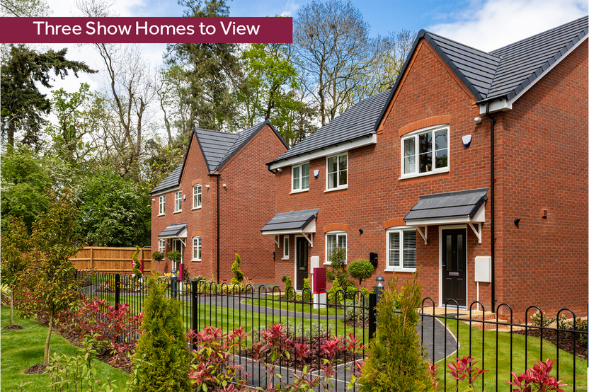 LH-VSWM-SV-3 SHOW HOMES