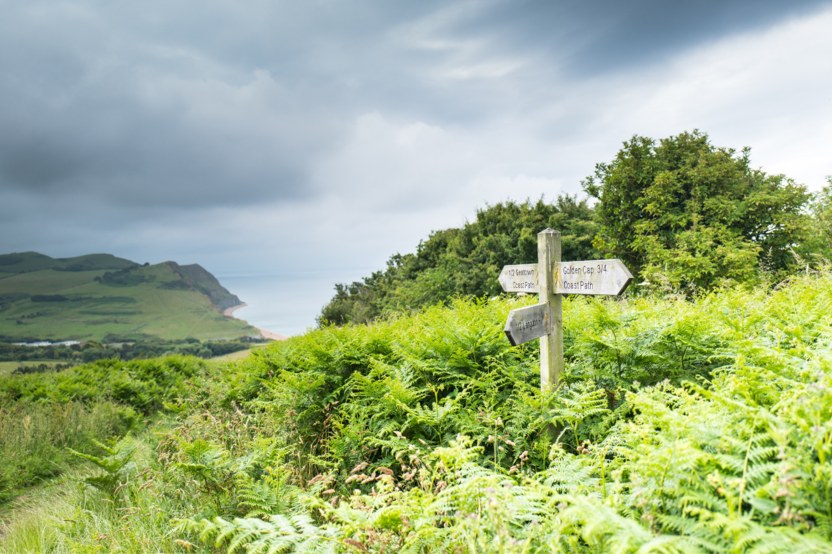 Bridport Banner - local area 1