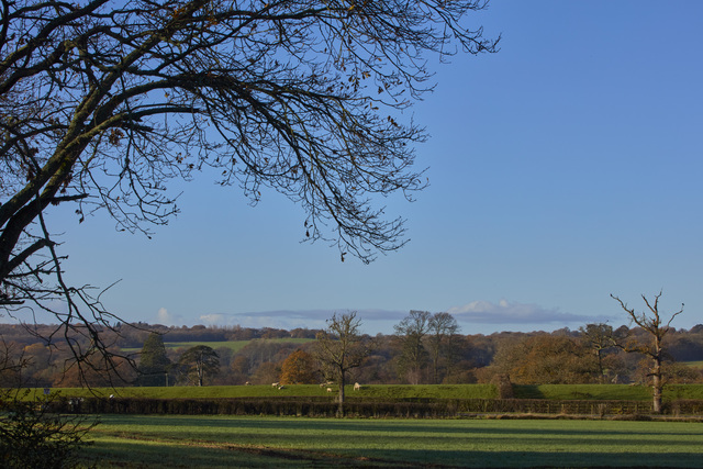 VISE-STNICPLA-LocalArea-05