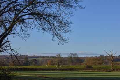 VISE-STNICPLA-LocalArea-05