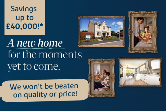 VDSW BH DALP WEB CAROUSEL (1)