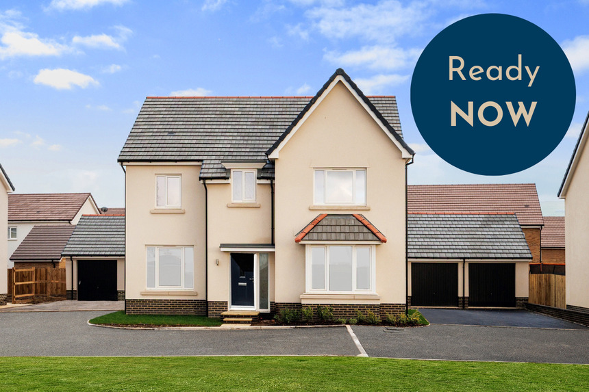 VDSW BH DBID BIRCH HERO ready