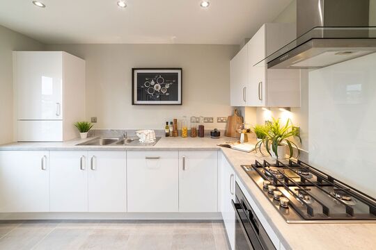 Typical Kitchen (4)