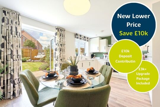 20 Magnolia Longfields (1)