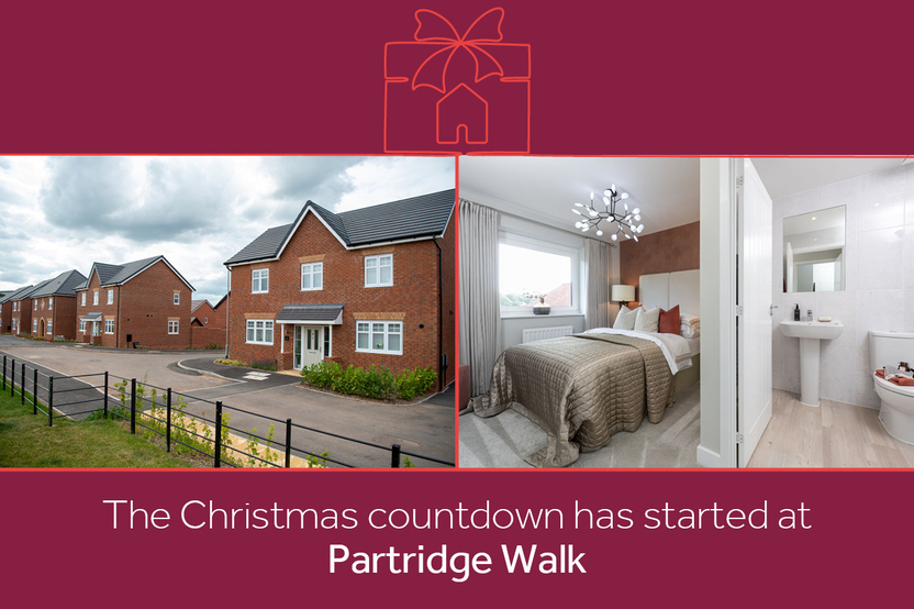 PARTRIDGE LNDEN DS14777_[BH][CH][LH]_Countdown-to-xmas_banners_pf17