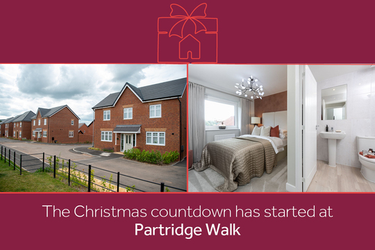 PARTRIDGE LNDEN DS14777_[BH][CH][LH]_Countdown-to-xmas_banners_pf17
