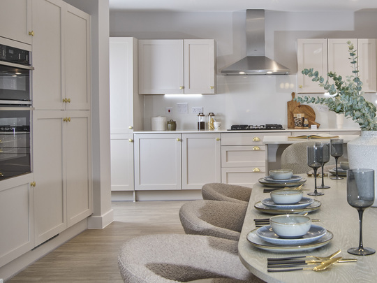 VISE-BROX-25-P40LIME-004