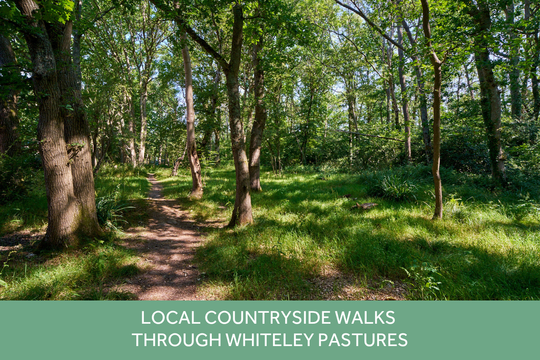 VS - LH - Whiteley Meadows - Local Area Images Whiteley Pastures 1280 x 853