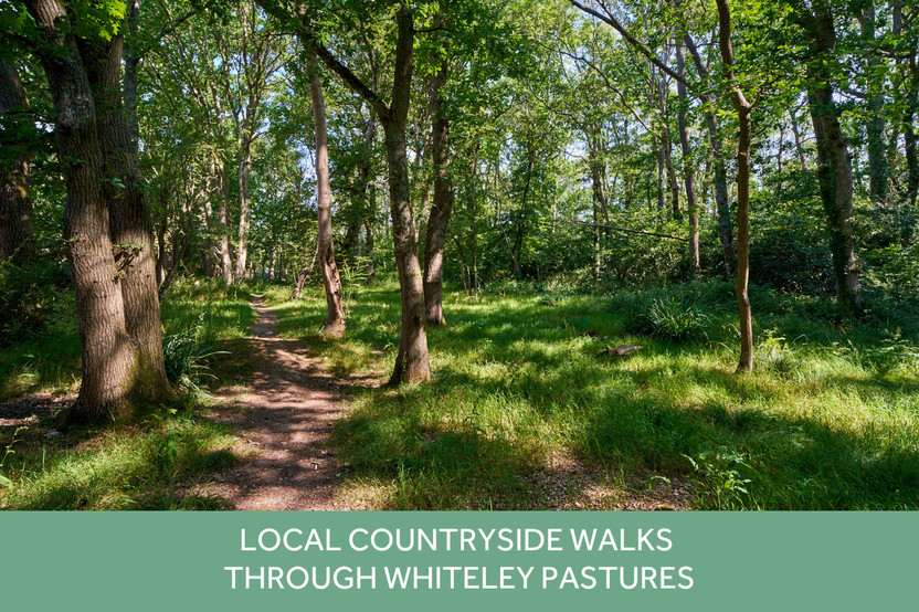 VS - LH - Whiteley Meadows - Local Area Images Whiteley Pastures 1280 x 853