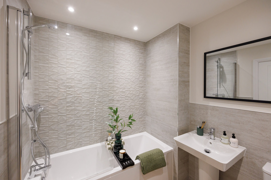 CP_Tors_SH_161223_58