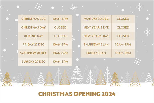 DS12732 500 [VG] Christmas opening times 1280x853 12.24 pf2