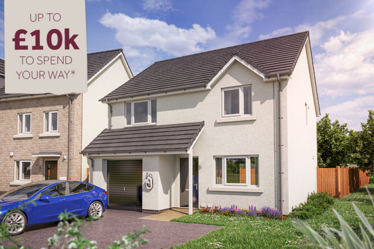 VDSW LH DBID GOODRIDGE HERO