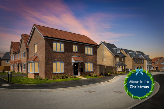 East Anglia_Haddon Peake_Move In For Christmas