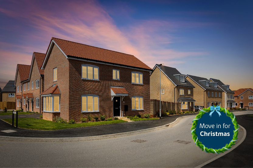 East Anglia_Haddon Peake_Move In For Christmas