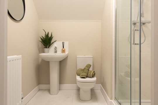 Tulip example imagery (12)