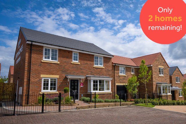 King Edward's Park Hero