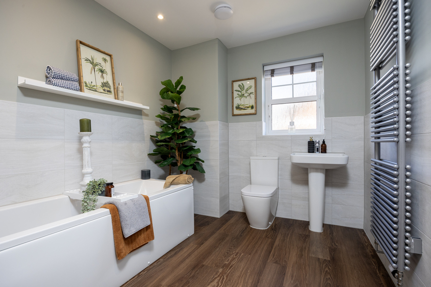 cedarwood_52