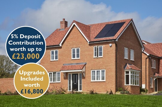 Home 45 - The Chestnut - Summerhill Gardens