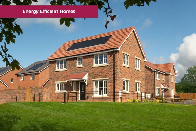 Kensington Fields Carousel 3