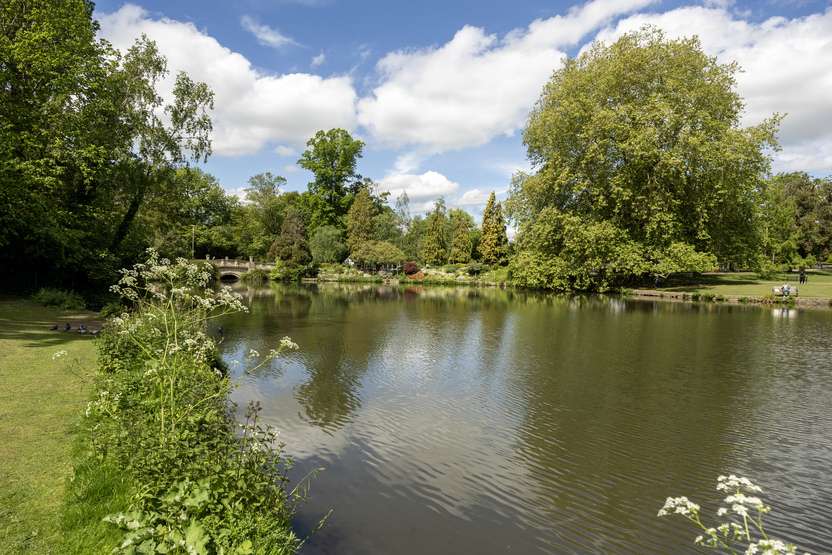 cheltenham_29