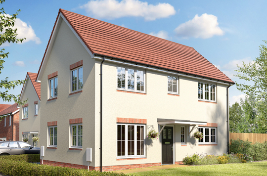 Hazel Meadows Kingfisher