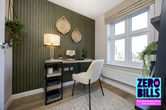 The Juniper Zero Bills (6)