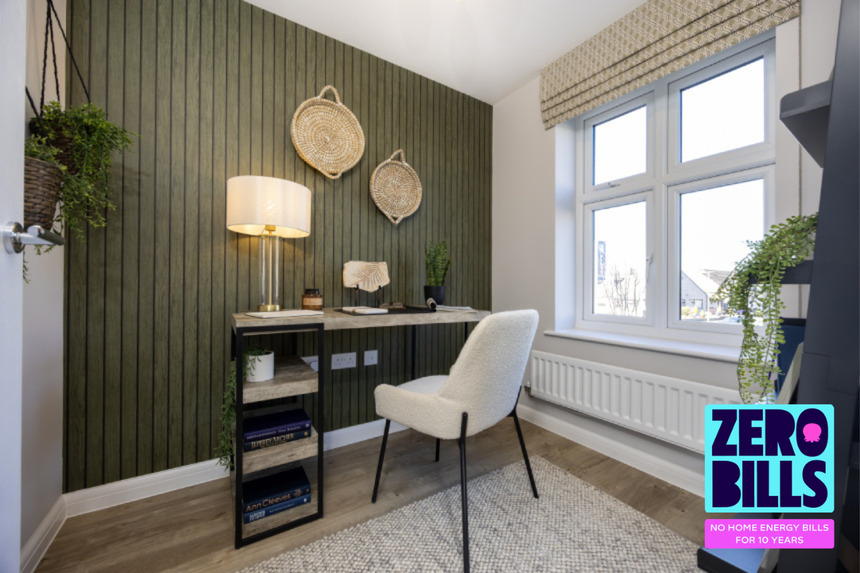 The Juniper Zero Bills (6)