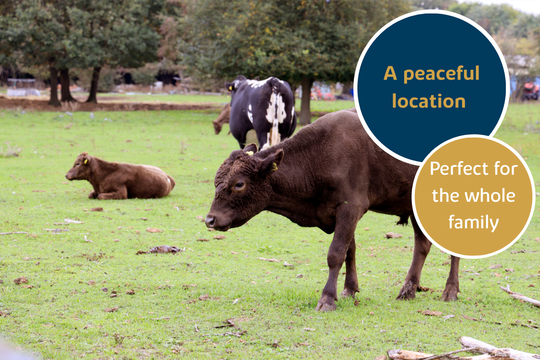 Potteric Edge local area Doncaster 2