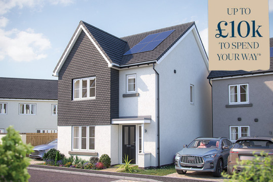 VDSW BH DWADE CYPRESS HERO