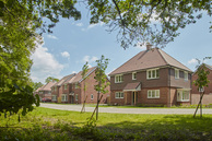 Home 30