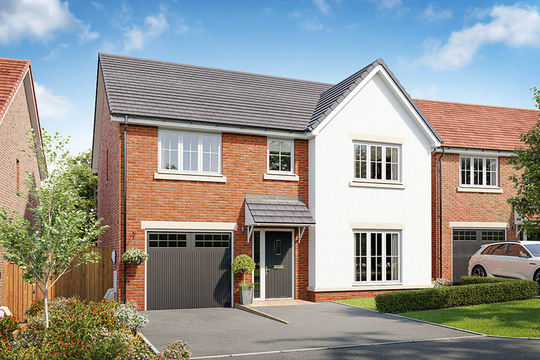 [VRL] DS13419 [CH] Starling Plot 108_web